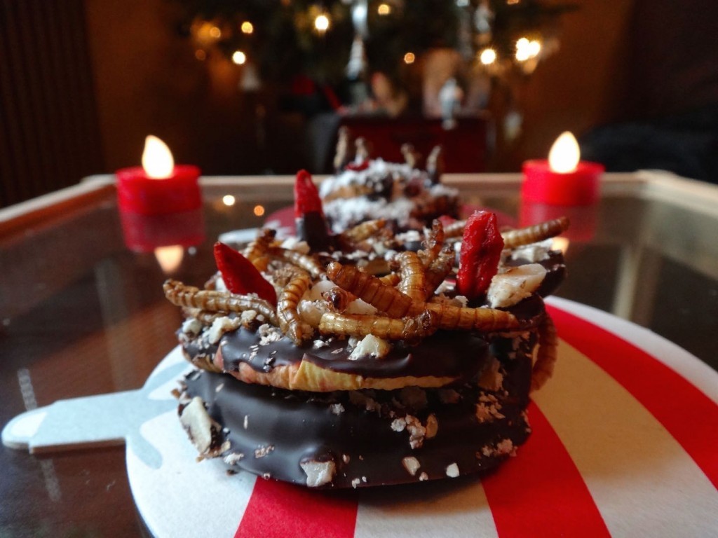 insects christmas cricket entomophagy paleo chocolate