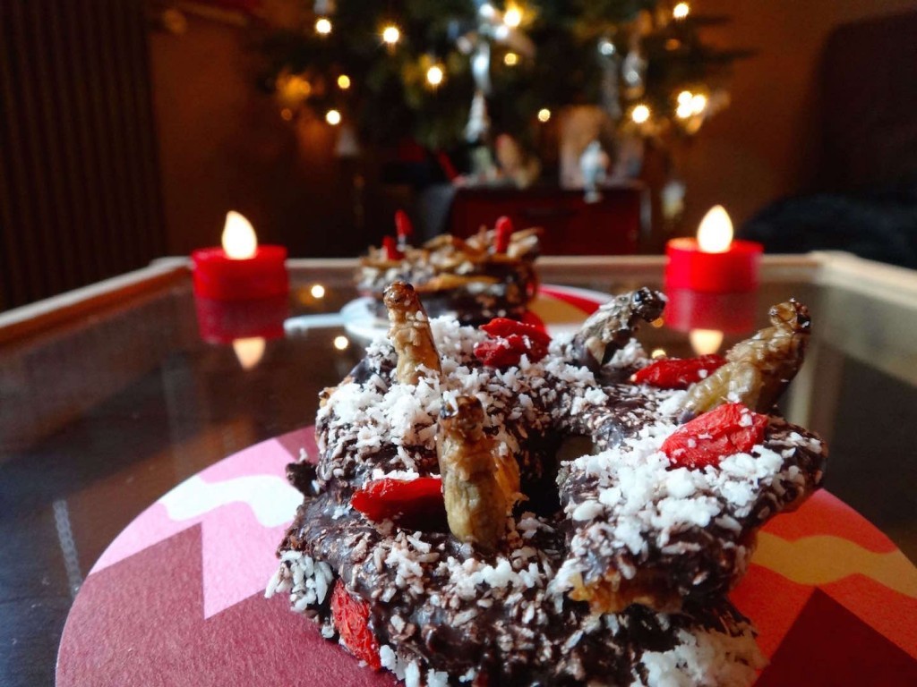 insects christmas cricket entomophagy paleo chocolate