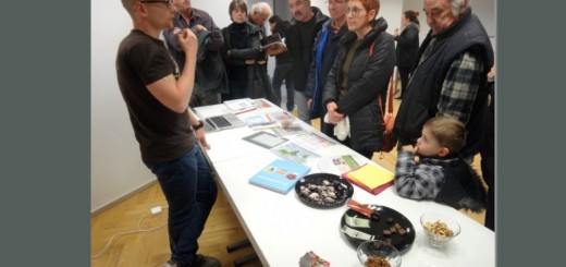 activity chapul entomophagy edible insects strasbourg