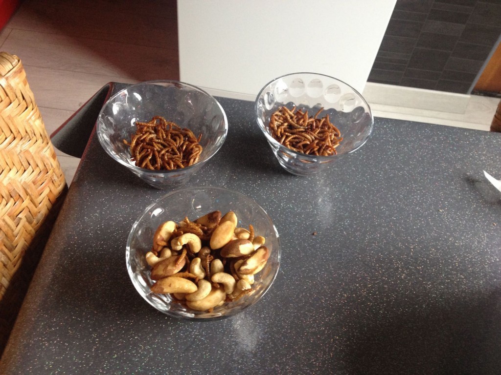 activity chapul entomophagy edible insects strasbourg