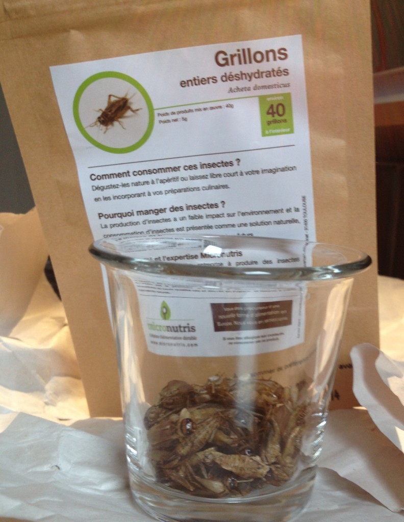 micronutris cricket entomophagy grillon