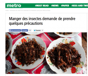 metro-insect-entomophagy