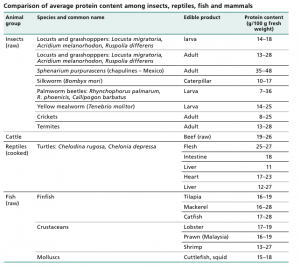 proteins value insects entomophagy