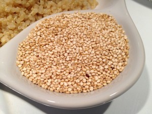quinoa vegetal proteins