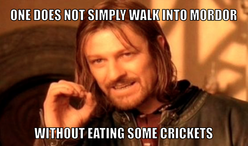 mordor-cricket