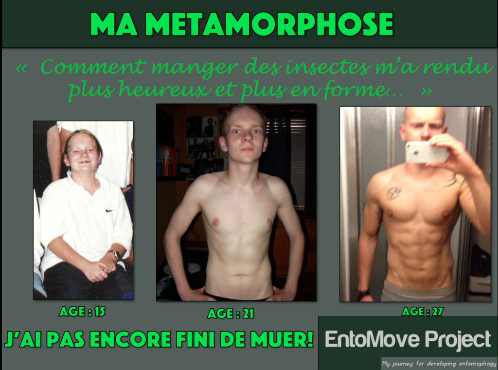 musculation régime entomophagie insectes fitness transformation