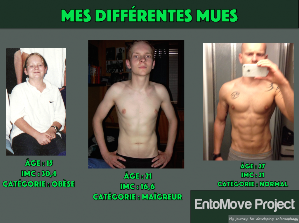 musculation régime transformation insectes entomophagie fitness insecte