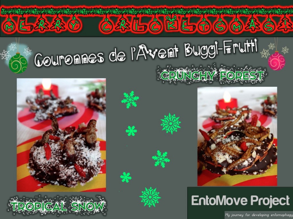 entomophagie insectes grillons vers de farine dessert noel