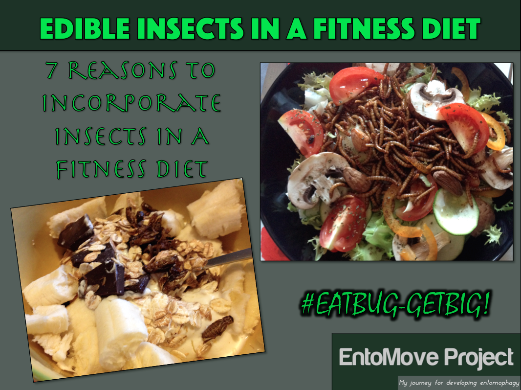 fitness insects proteins entomophagy bugs mealworms cricket bodybuilding