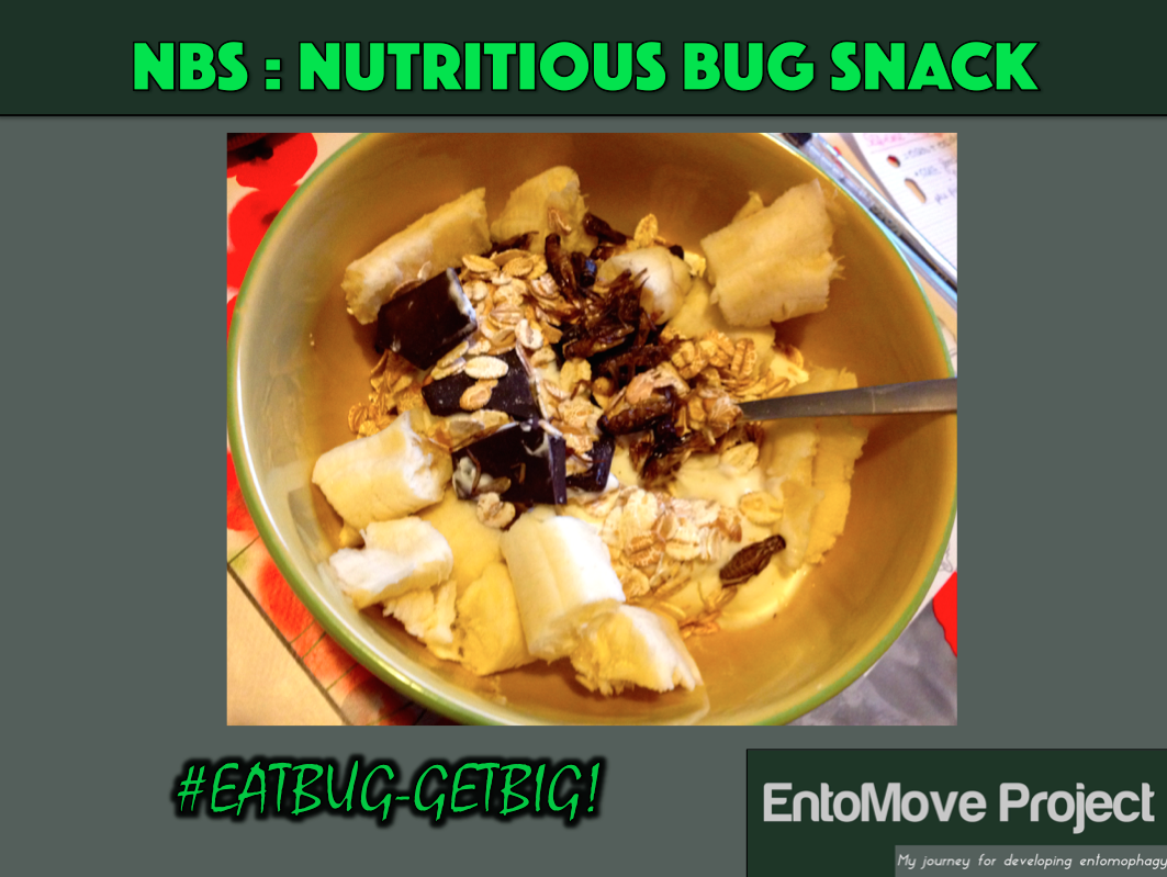 insect snack bug entomophagy cricket proteins health diet