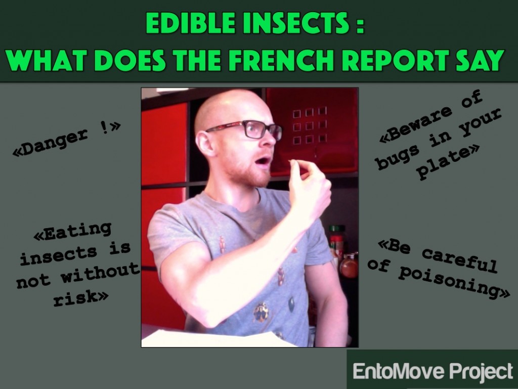 edible insects entomopagy legislation european food insects