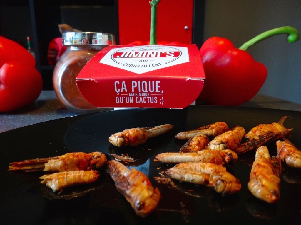 jiminis paprika recipe edible insect entomophagy entomoveproject snack