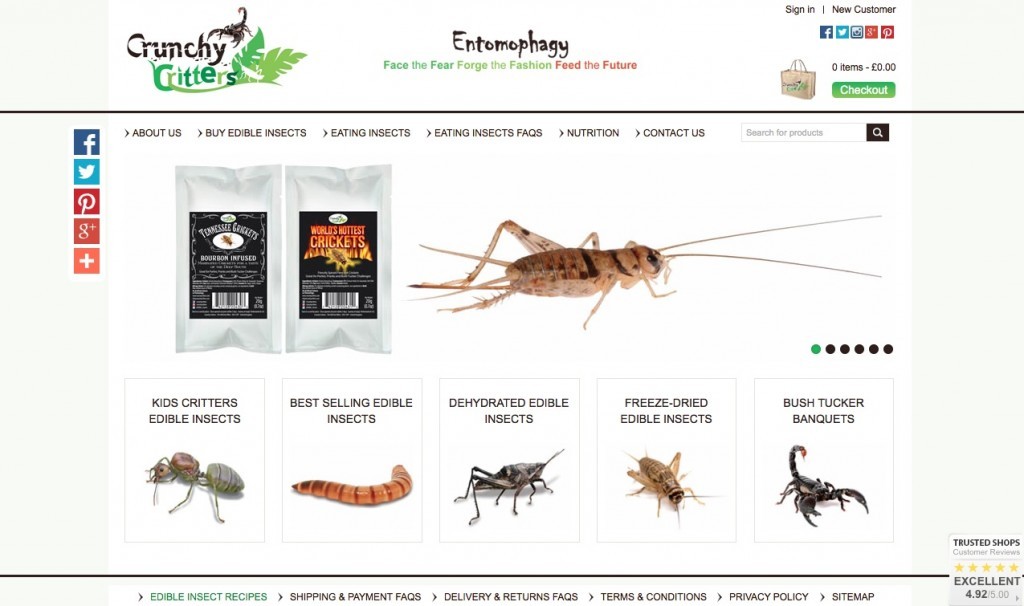 crunchy critters cricket mealworms entomove entomoveproject edible insects entomophagy review