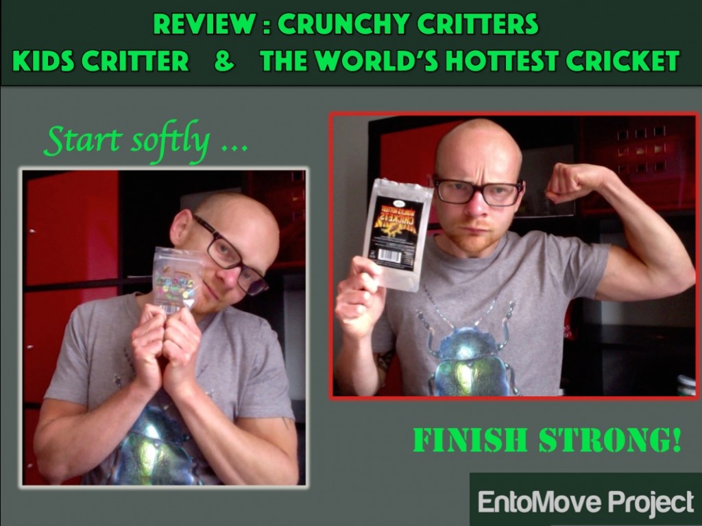 crunchy critters cricket mealworms entomove entomoveproject edible insects entomophagy review