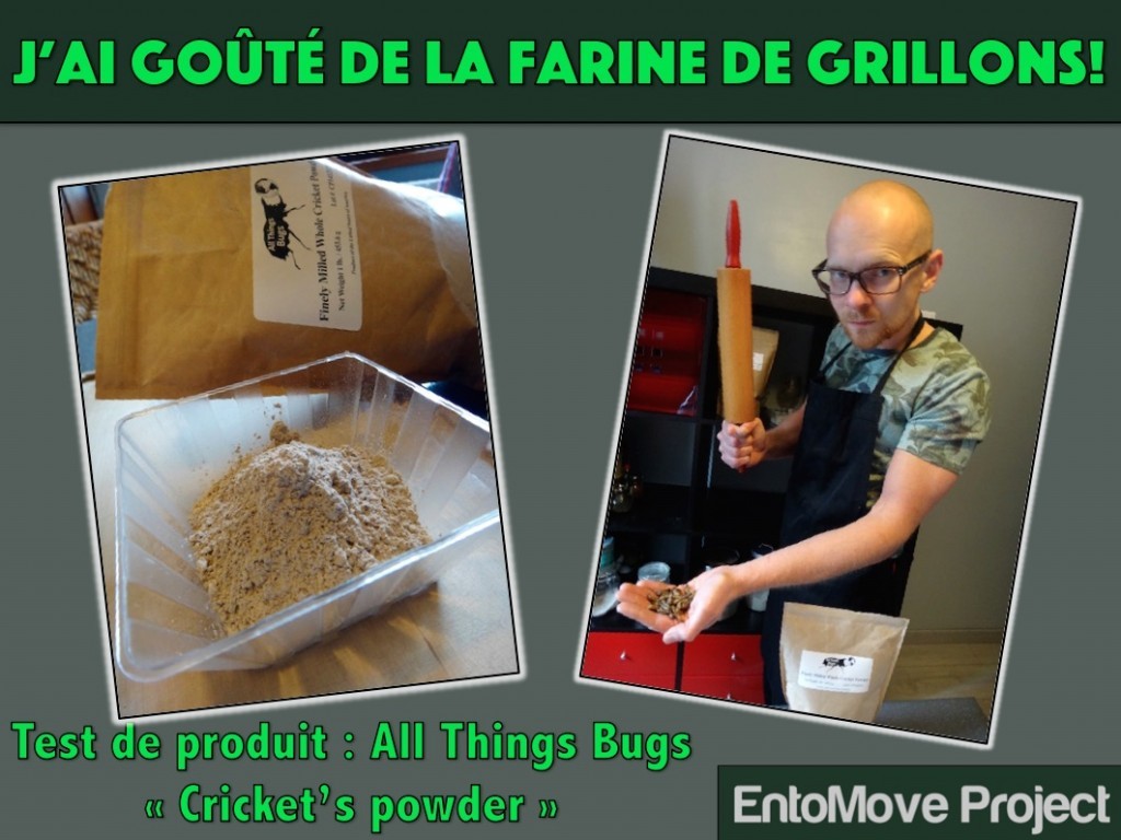 protéines all things bugs entomoveproject entomophagie farine grillon insectes comestibles entomove paleo