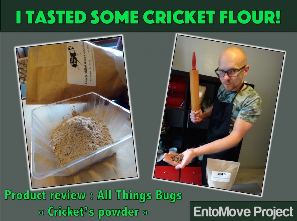 all things bugs entomoveproject cover entomophagy cricket flour paleo edibe insects recipe