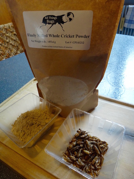 all things bugs entomoveproject cover entomophagy cricket flour paleo edibe insects recipe