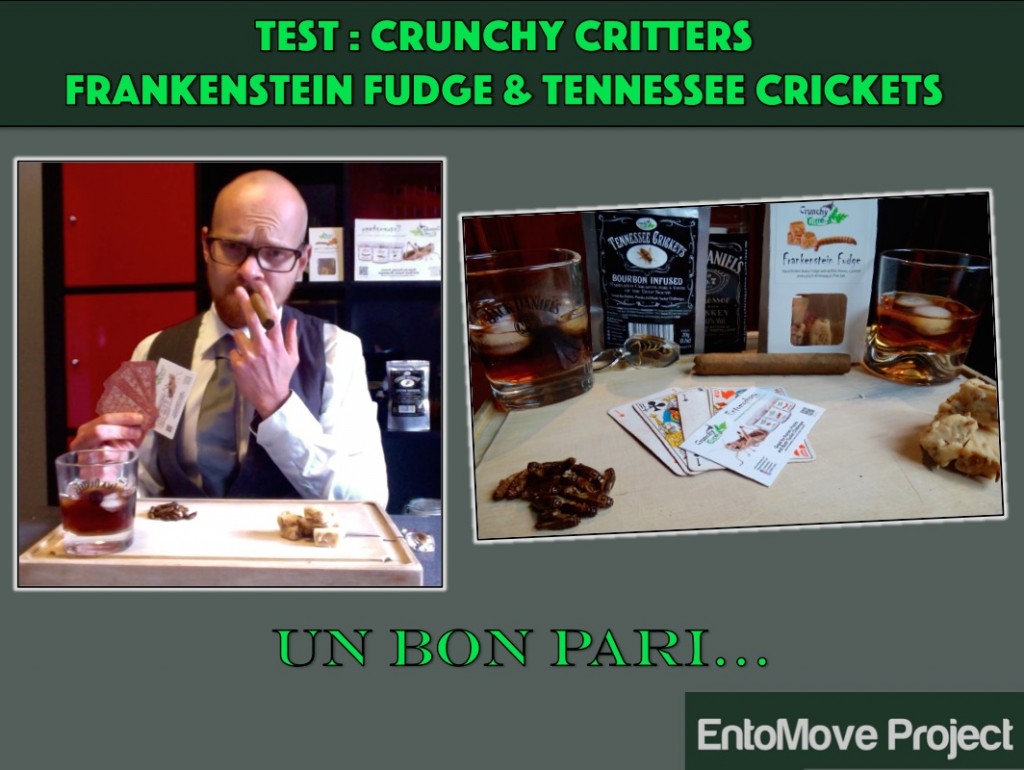 crunchy critter video youtube insectes comestibles dégustation test grillon entomophagie vers de farine entomove entomoveproject