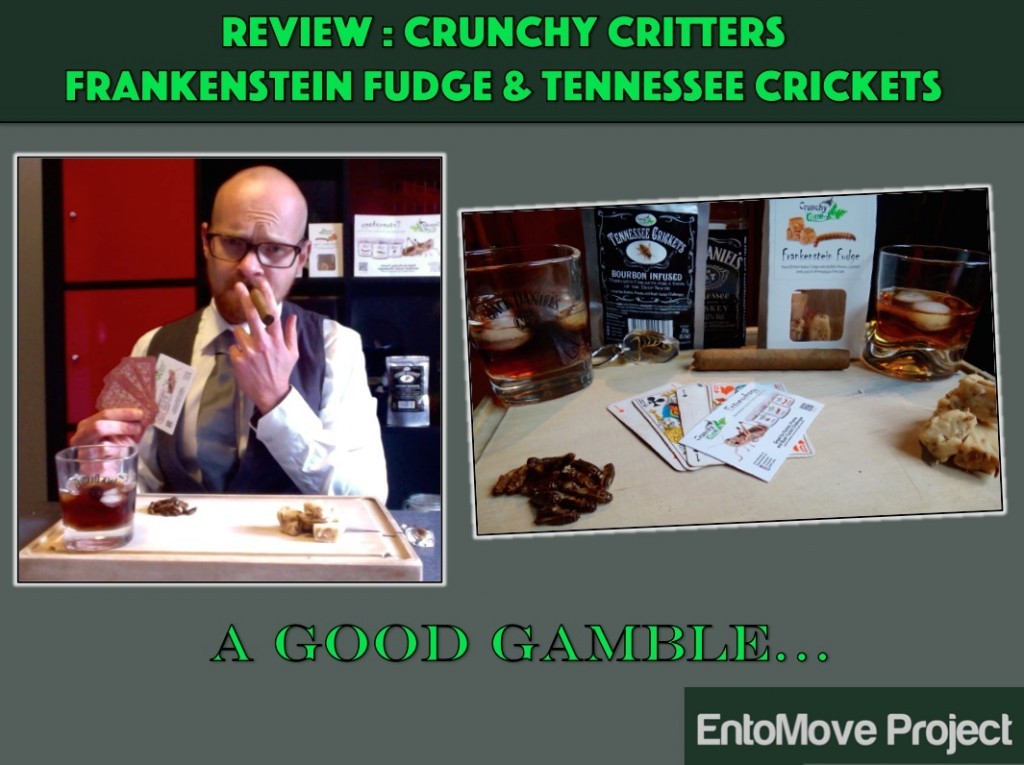 entomophagy edible insects mealworms entomove entomoveproject crunchy critters london uk crickets fudge mealworm