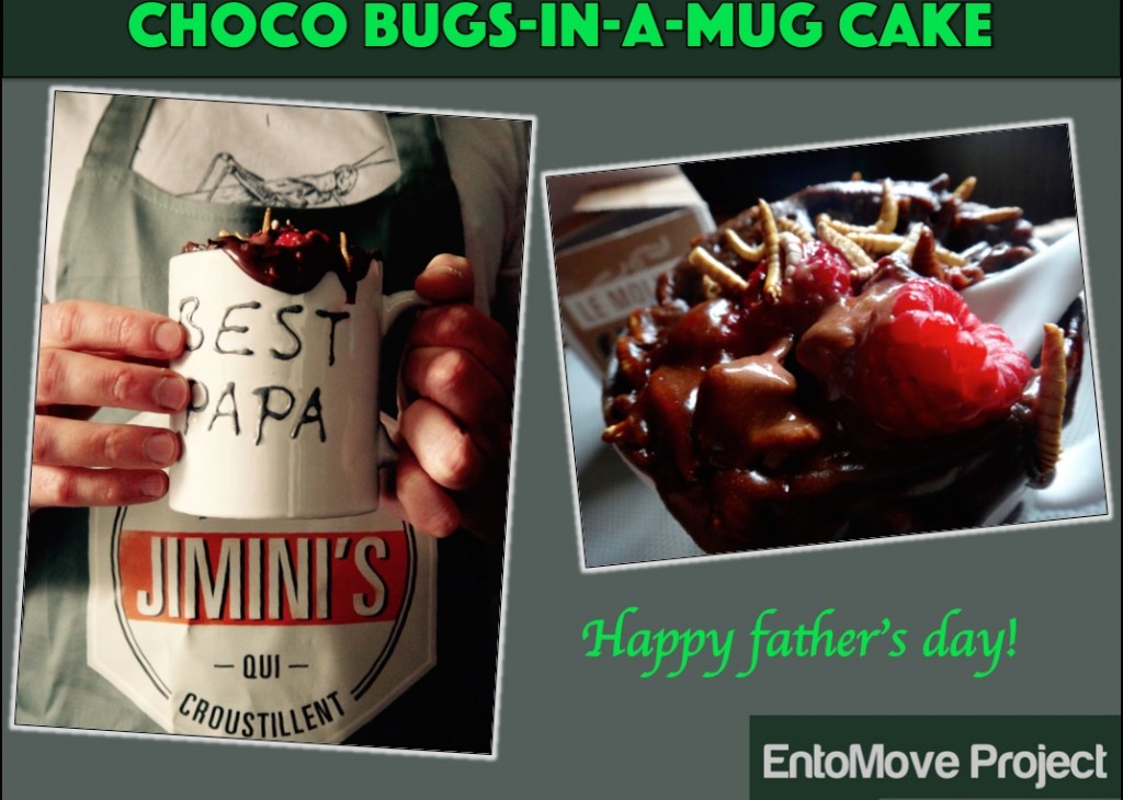 entomophagy edible insects mealworms molitor entomove entomoveproject jiminis mug cake father chocolate