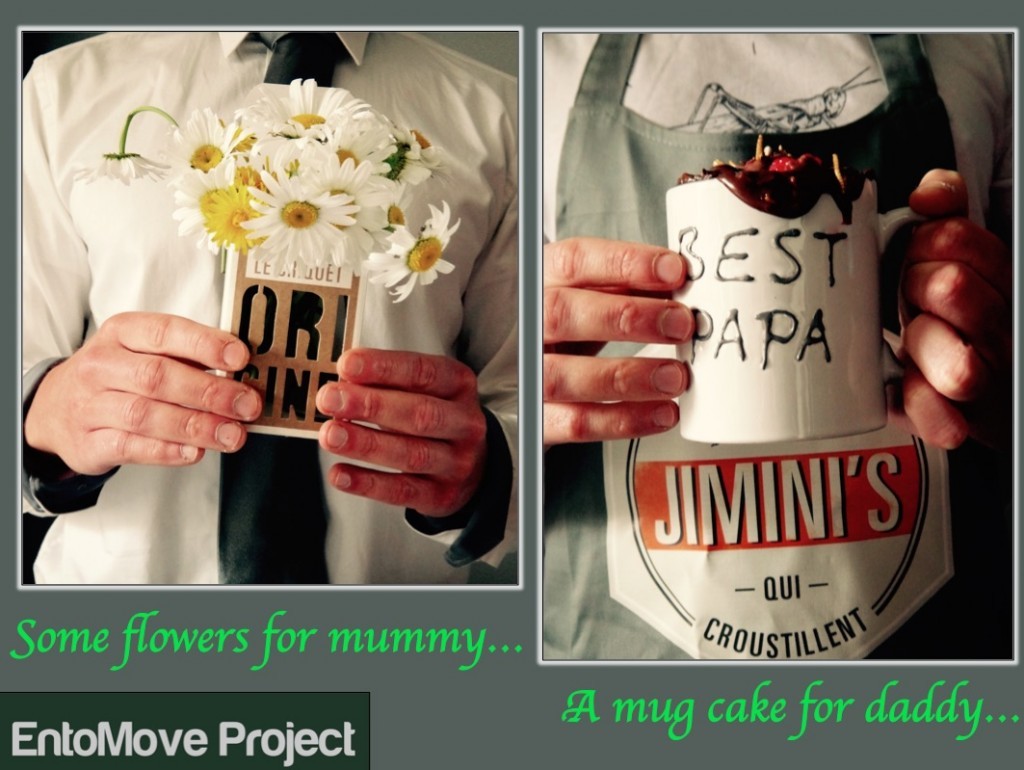 entomophagy edible insects mealworms molitor entomove entomoveproject jiminis mug cake father chocolate