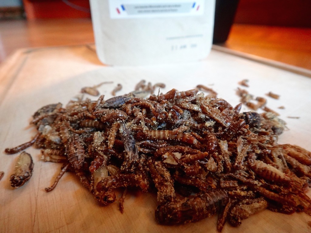 entomophagy edible insects micronutris cricket mealworms snack