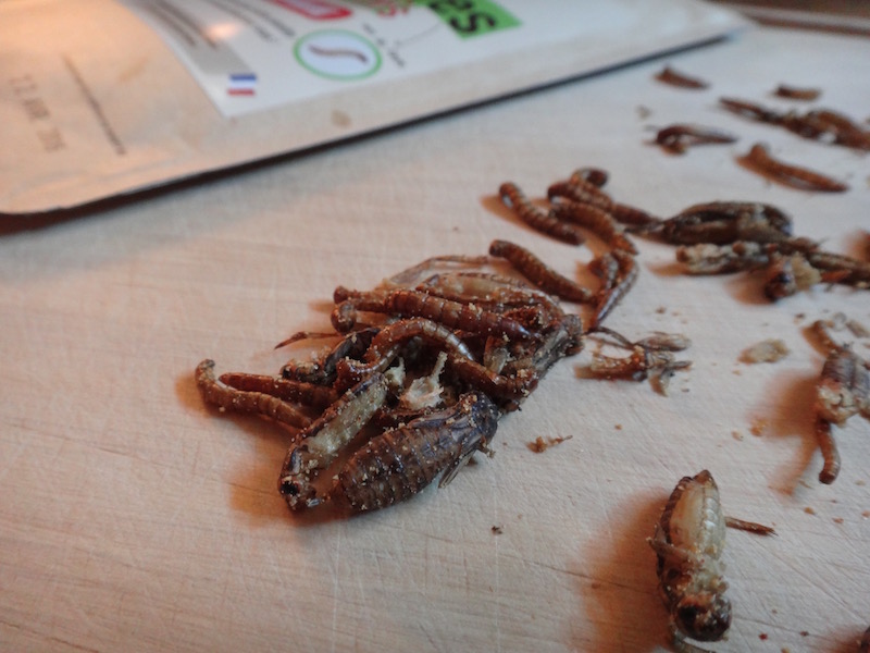 entomophagy edible insects micronutris cricket mealworms snack