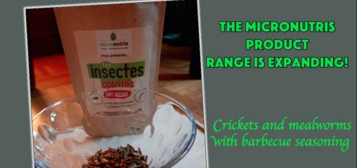 entomophagy edible insects micronutris cricket mealworms snack