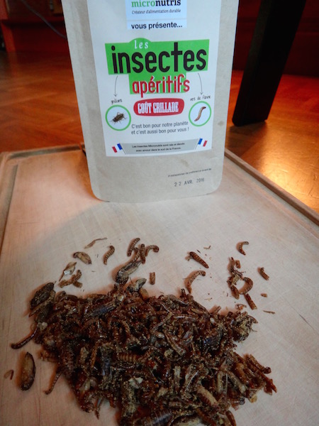 micronutris entomophagie entomoveproject insectes comestibles entomove grillons vers de farine