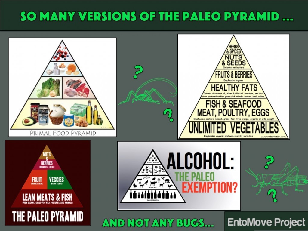 paleo crickets mealworms food edible insects entomophagy