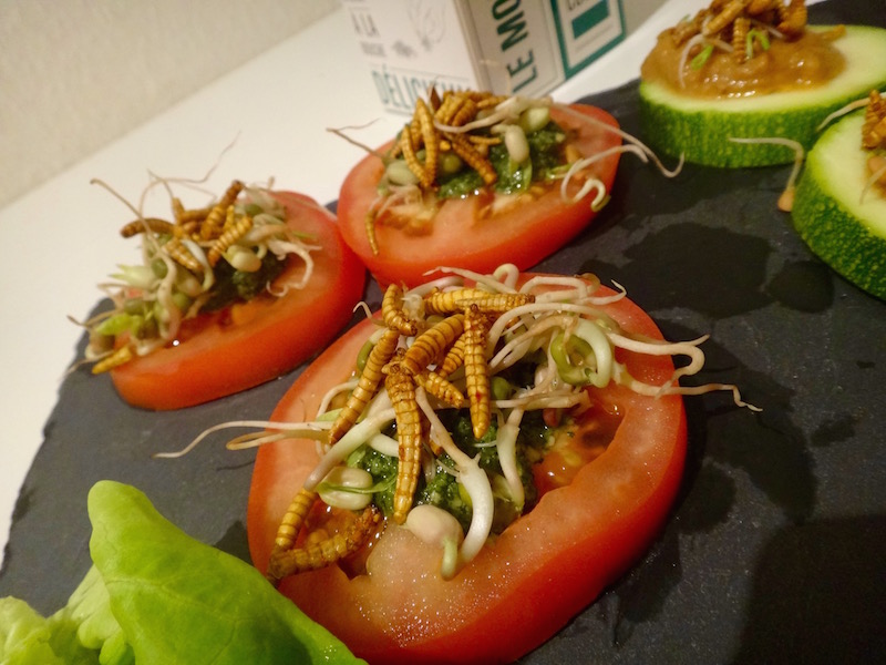 mealworms recipe edible insects entomophagy sprout healthy