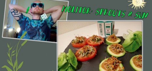 mealworms recipe edible insects entomophagy sprout healthy