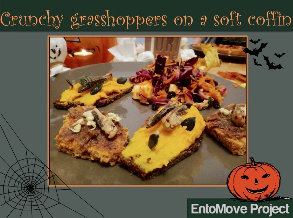 insects for halloween grasshoppers entomophagy edible insects cover