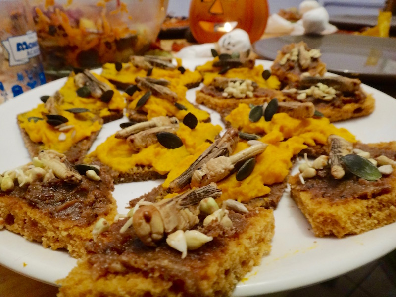 insects for halloween grasshoppers entomophagy edible insects