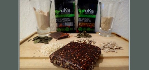 cricket flour energy bars insect protein