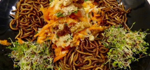 mealworms edible insects entomophagy cooking