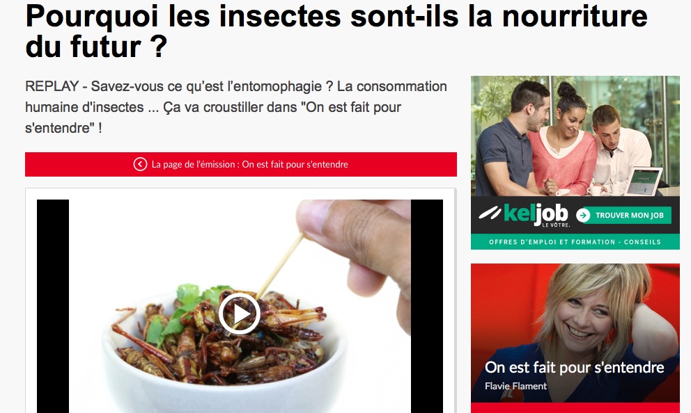 Insectes comestibles alimentation du futur rtl