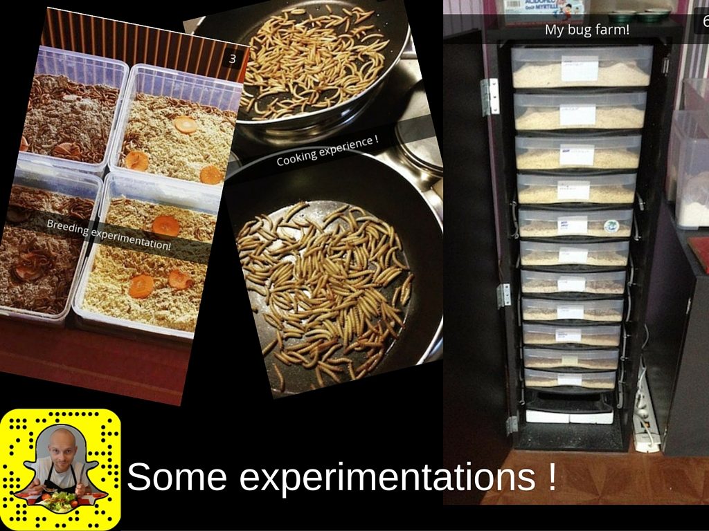 snapchat edible insects entomophagy mealworms cricket fitness food