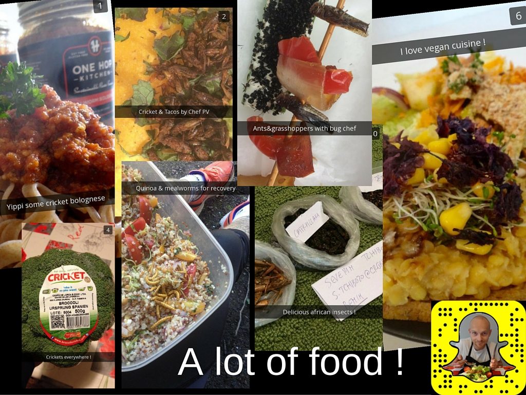 snapchat edible insects entomophagy mealworms cricket fitness food