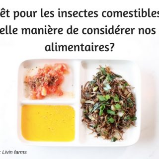 insectes-livin-farms-comestibles-savoureux-sains-éthiques