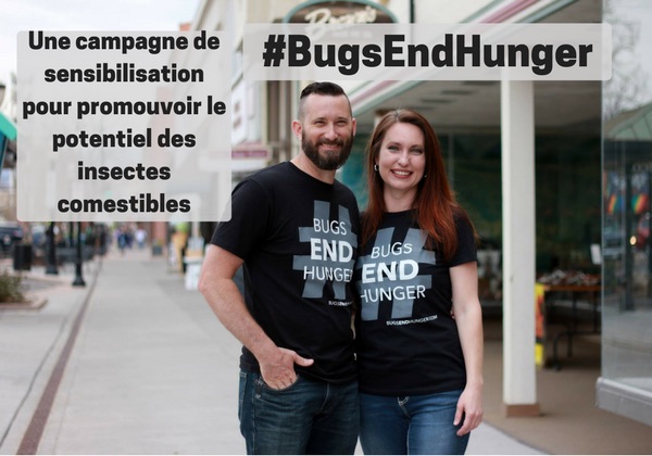 campagne insectes comestibles entomophagie