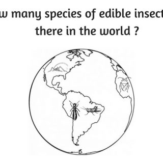 How many edible insects are there?