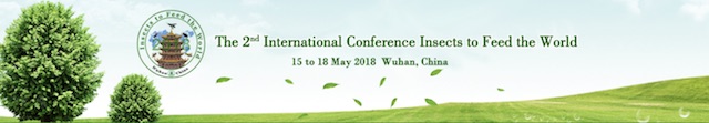 edible insects 2018 conference wuhan china