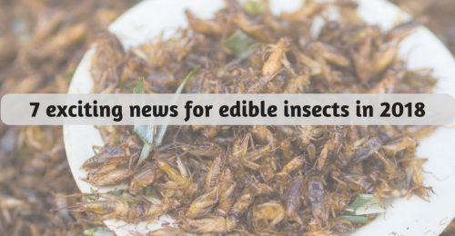 entomophagy edible insects 2018 news