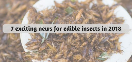 entomophagy edible insects 2018 news
