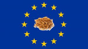 european regulation edible insects 2018