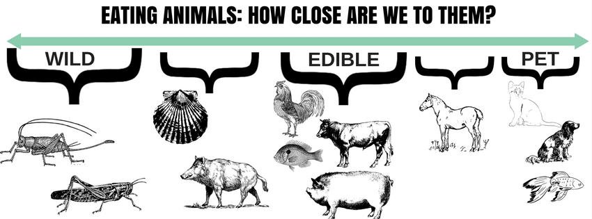 Eating animals: how close are we to them? - EntoMove Project
