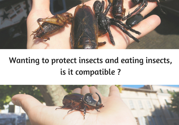 protect insects eating insects