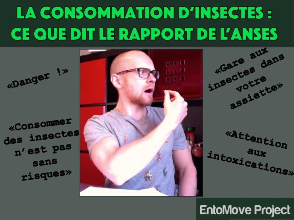 insectes comestibles entomophagie France Strasbourg entomove project grillon ver de farine danger rapport ANSES