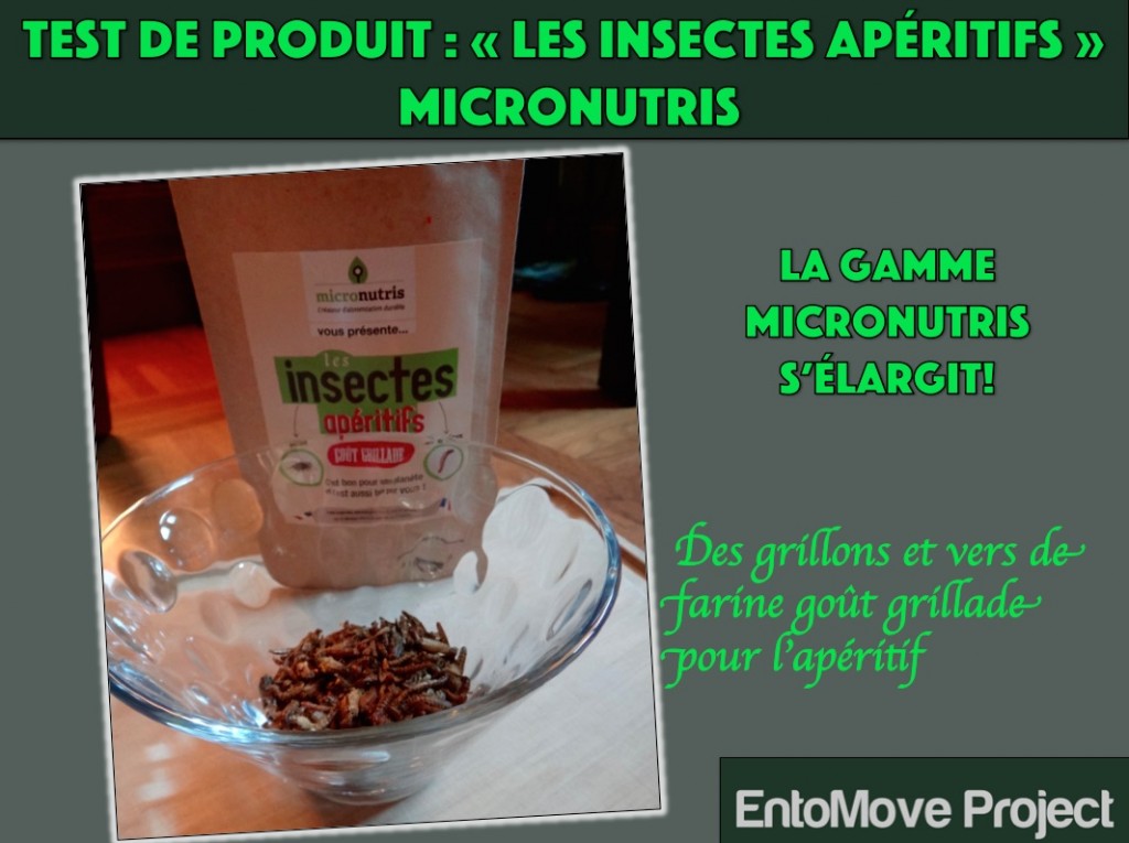 micronutris entomophagie entomoveproject insectes comestibles entomove grillons vers de farine